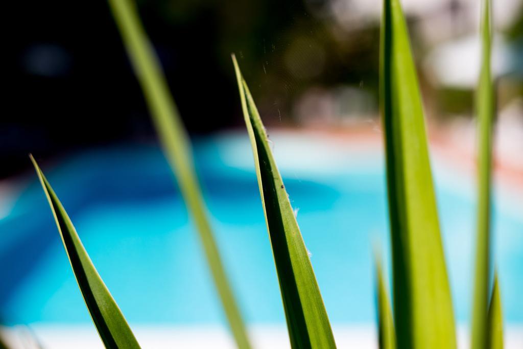 Hotel Le Rocce Magione Ngoại thất bức ảnh